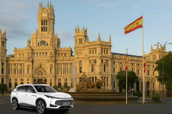 慢的根基，快的势能：悟空体育集团的变革转型之道