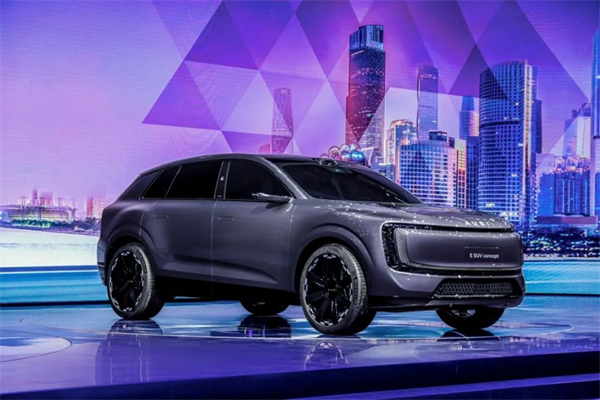 慢的根基，快的势能：悟空体育集团的变革转型之道